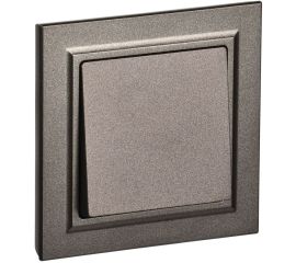 BRITE темная бронза