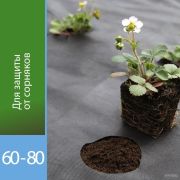 Мульча перфорированная АГРОТЕКС 80 UV 1,06*10м бело-черн +колыш. 8 шт