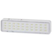 Светильник СД DBA-101-0-20 30LED 5ч IP20 аварийный непостоянный Эра Б0044394