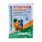 БИО МАСТЕР Янтарная кислота 4г