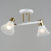 06245-0.3-02 WT+COP светильник потолочный