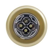 Фонарь пушлайт СТАРТ PL-4led С1 золото