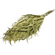 Веник эвкалиптовый 21070