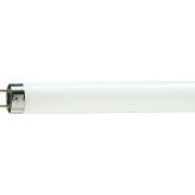 Лампа линейная люминесцентная ЛЛ 36вт TLD 36/54-765 G13 дневная
