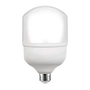 Лампа светодиодная DIODTRADE HP-PRO 50W E27 6500R перех в компл.
