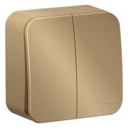 BLANCA Выключатель 2-кл. ОП  сх.5 10А 250В изол. пласт. титан BLNVA105014